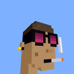PunkVoxels #9378