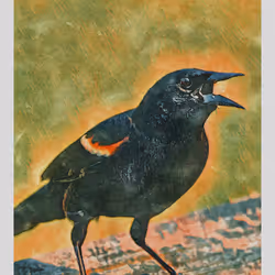 55704534837685659622621715309832868758345944585427688586690141420161901527041