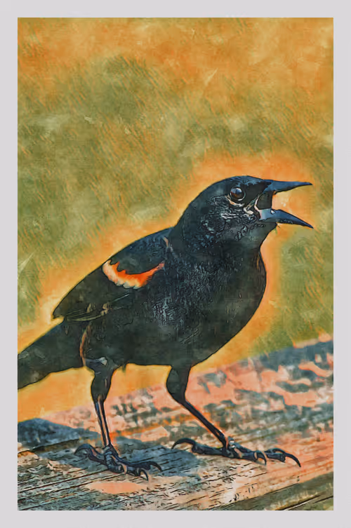 Item #55704534837685659622621715309832868758345944585427688586690141420161901527041 Media