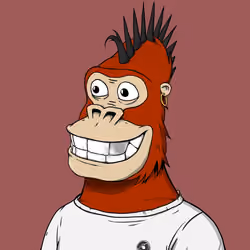 Chilled Kong #1377