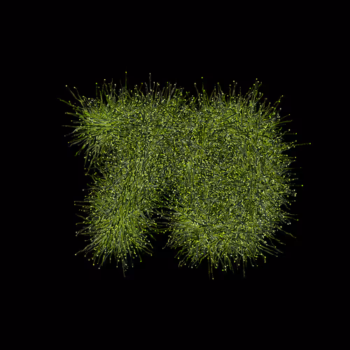 Item #31186271462743839332083495437684930572283654238385709344730710953110055944193 Media