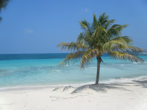 Item #52182003056719623543075732543608248748892502658984332936685367676783160197121 Media