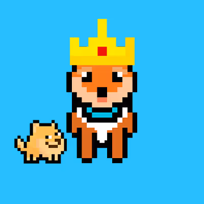 Shiba 249