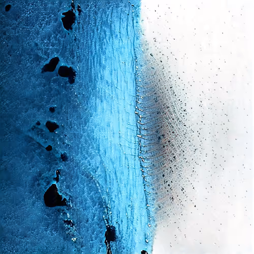 Item #81423580408588551200801073682850784470757564812203159627046902856112068886529 Media