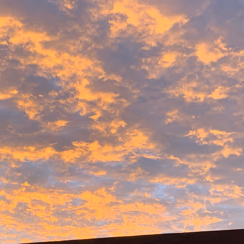 Life Of An Introvert