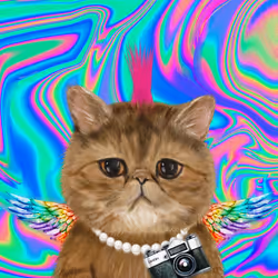 63588752515642770477067191287288803913526852218898202821012584710078107484161