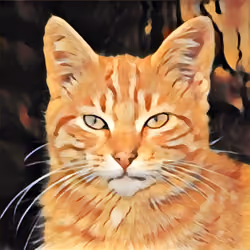 Cat Mone  #18