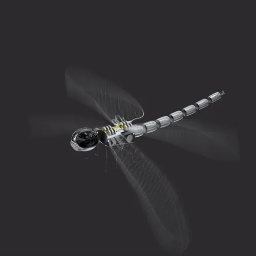 Item #59221695809999844932868241311026825972511777315967343673418626810141153951745 Media