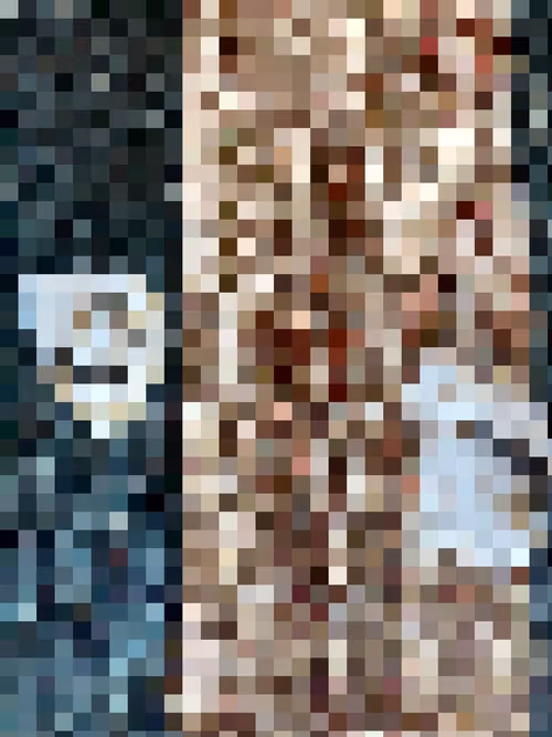 Item #2850415134272365380187775685678842410458265265709128331682257579943049297921 Media