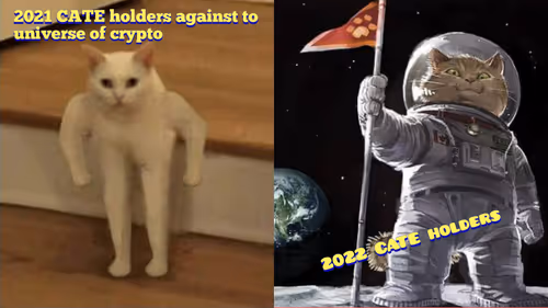 Item #36064527124625949879208703169207973421910562417579858080743327230788175396865 Media