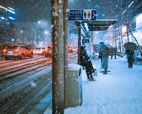 Item #96745862257255462714249523811464070259827223018211403582317496747307898503169 Media