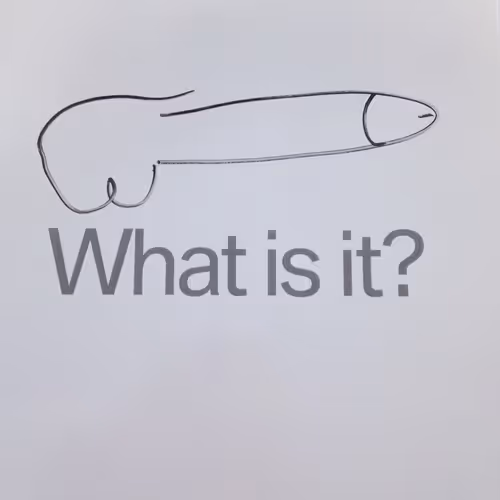 Untitled Collection #60704059