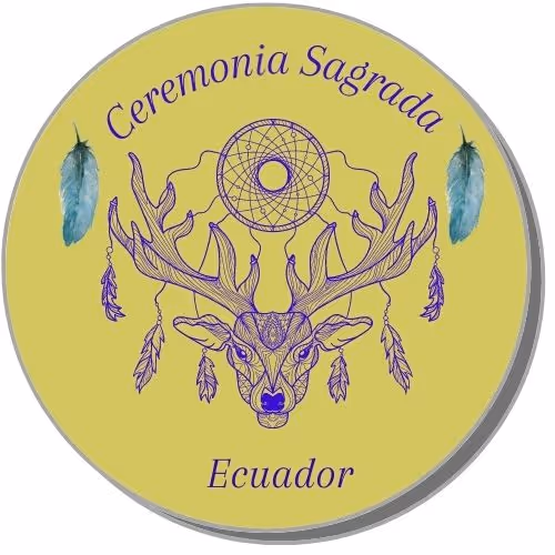 Untitled Collection #11318528