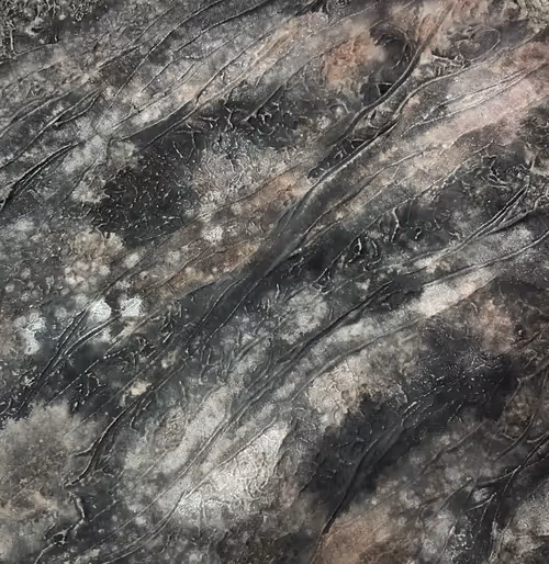 Item #96302607731245519383292552572528694688607081670834096712005176052104757772289 Media