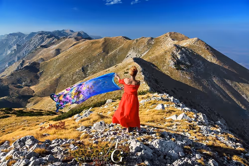 Item #65345487953311582179904319908136273825398030986349115812322284659004372156417 Media