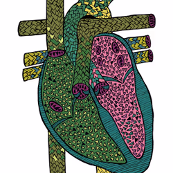 28824502245252267217549902857601847351510039266873569823091148239294225711105