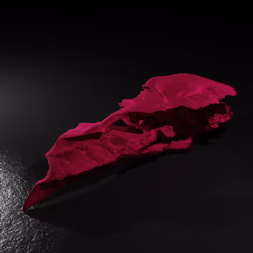 Item #20250001323464517401306315509532802406644919304029953922967480187420894298113 Media