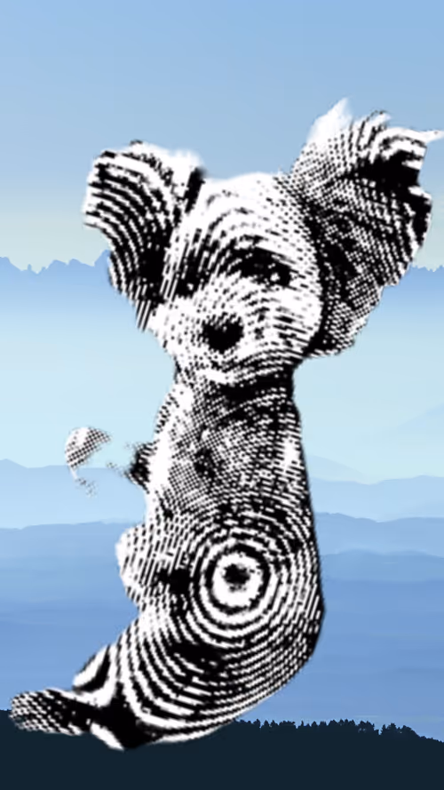 Item #50435629414903080732398685353811858649064922584428316907703266719045192253441 Media