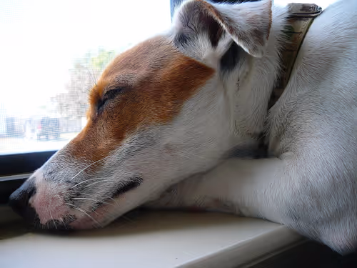 Item #5985210497355107417265215381210579199842884272282595265964883445195307220993 Media