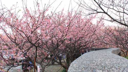 Item #88341892428238457671163359138931352612055705478125639874456303490721919270913 Media