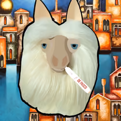 IQOS SMOKER LAMA WATCHING DE PASCO