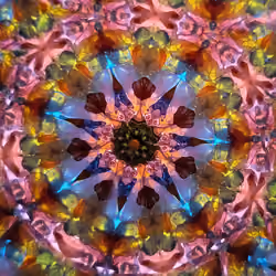 CP(2)48
