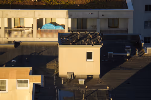 Item #758998615883162013977677852650433023519911195917401613333710373744669622277 Media