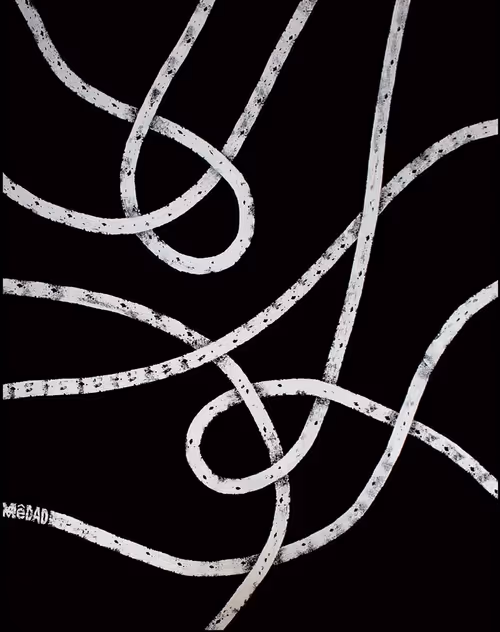 Item #19348387886638314608226308073204764497624528496557652038344455863573321613313 Media