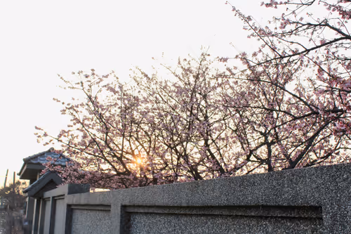 Item #88341892428238457671163359138931352612055705478125639874456303486323872759809 Media