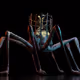 13 Phobias