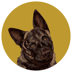 54766349128176429303044182404049584425310907481653304317570414006798634713089