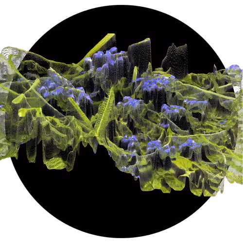 Item #3297889266964821186108216166808061648097153390725508810487041773995028381697 Media