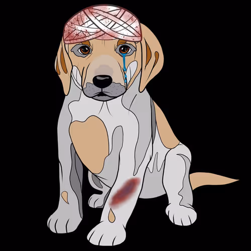 Item #18929025953091685879740265421444029621973902778044225700407145476998750535681 Media