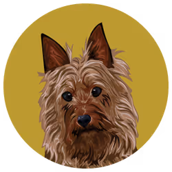 54766349128176429303044182404049584425310907481653304317570413952922564952065