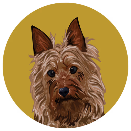 Item #54766349128176429303044182404049584425310907481653304317570413952922564952065 Media