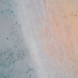 Sky view #8