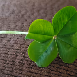 Luck
