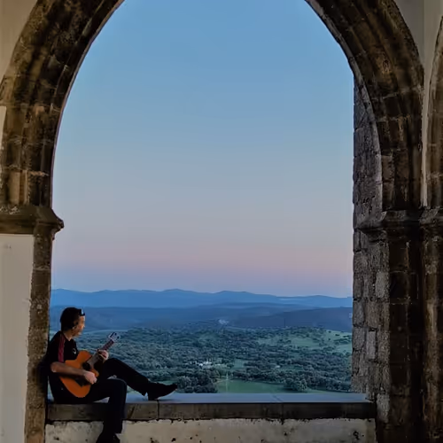 Floripondia Collection