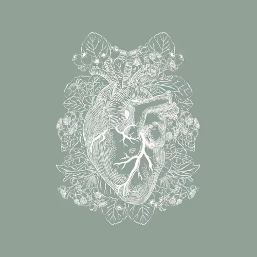 Hawthorn Hearts