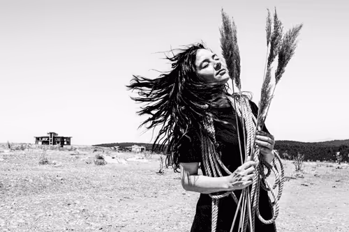 The Poem of Freedom Editions