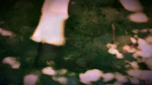 Item #7492014197175371295993437747185923975564654594515035294338329517824143261697 Media