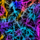 11004239870269201642337490365757428976899283070519031621893206661764791402497