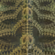 71201302945767233972217717237813918418032728349974799237122777098559076433921