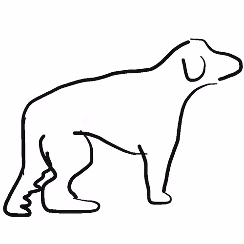 Dog Arf