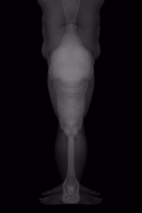 Item #24078694119739597483179371173892664508581681499738610979766924198259288178689 Media