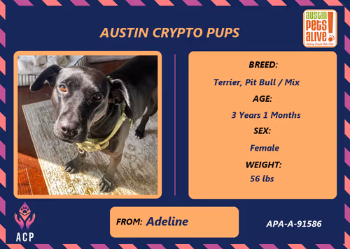 Item #17951378556605612276483806045649535824451571419947225201384628483164198666241 Media