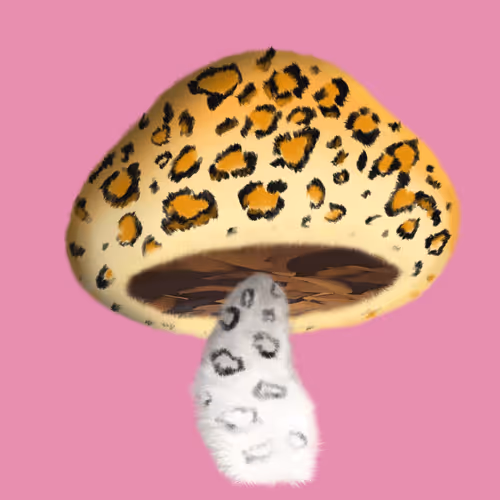 46034849265832991985054005845495595569977159826723230396281255893320515715073