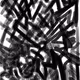 MT_CM Collection