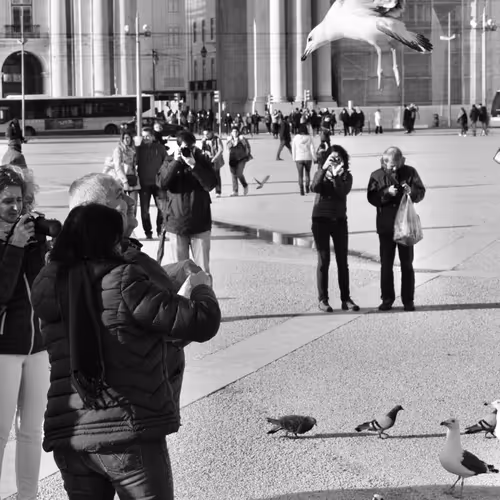 40449787652065743018640773044495240111019622512701765753694832747665627807745