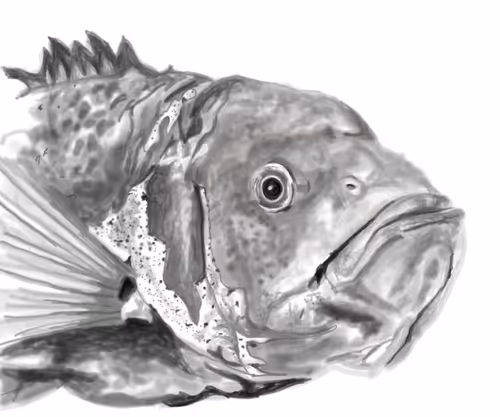 Item #32979819915847657134905122464144943056954992387867001458806650748897205420033 Media